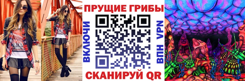 Псилоцибиновые грибы MAGIC MUSHROOMS  цены   mega зеркало  Афипский 