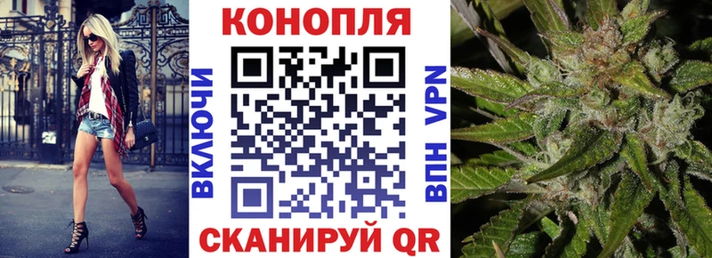 Канабис сатива где найти Афипский